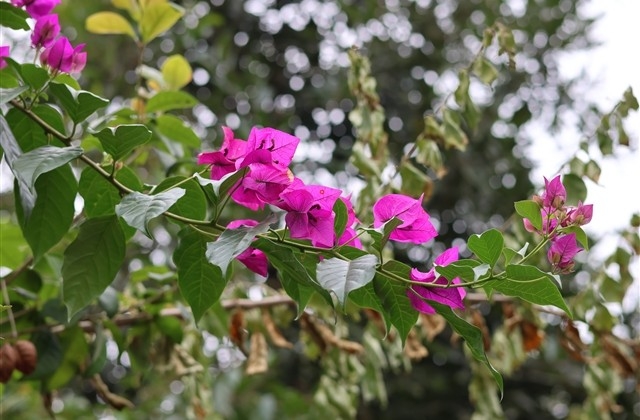 女神节宣传文案