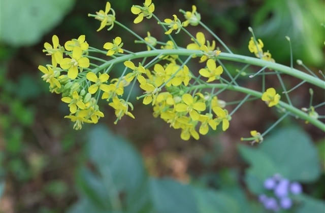 女神节宣传文案